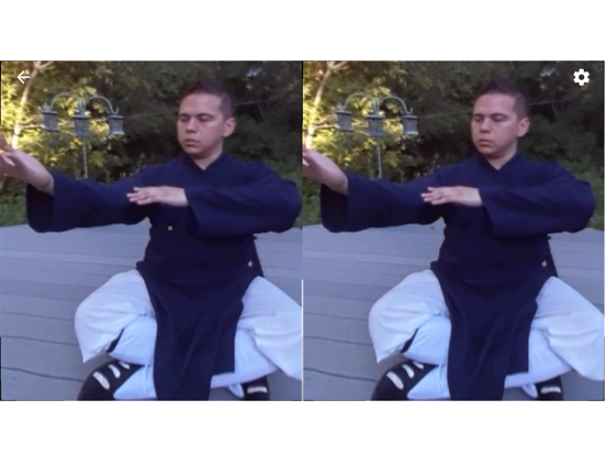 Tai Chi Trainer XR screenshot 4