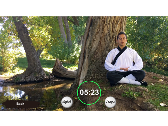Tai Chi Trainer XR screenshot 3