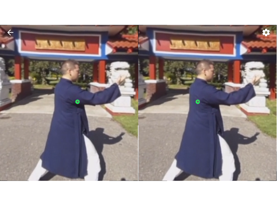 Tai Chi Trainer XR screenshot 7