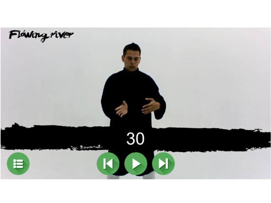Tai Chi Trainer XR screenshot 6