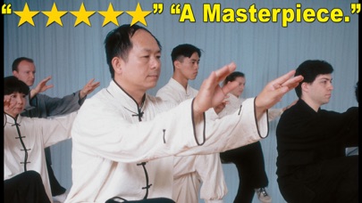TaiChi 108 Yang Classical Form screenshot 2
