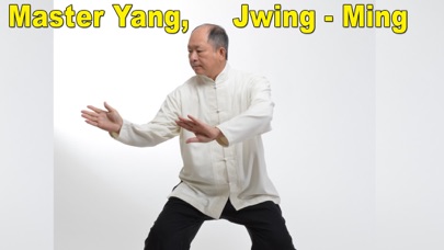 TaiChi 108 Yang Classical Form screenshot 1