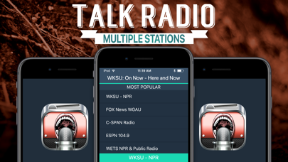 Talk Radio+ screenshot 2