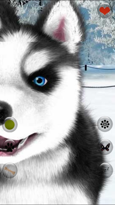 Talking Dog Virtual Pet Husky screenshot 4