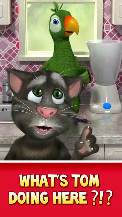 Talking Pierre the Parrot screenshot 2