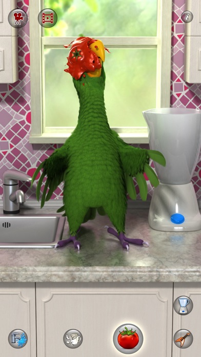 Talking Pierre the Parrot screenshot 4