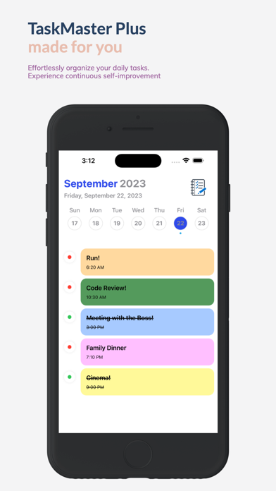 TaskMaster Plus screenshot 8