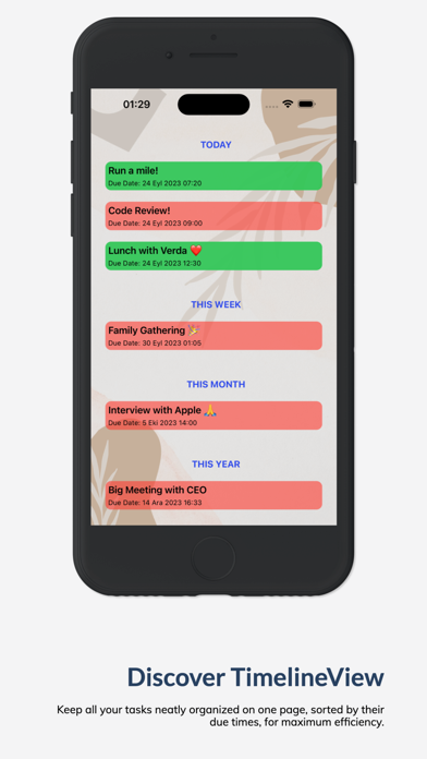 TaskMaster Plus screenshot 5