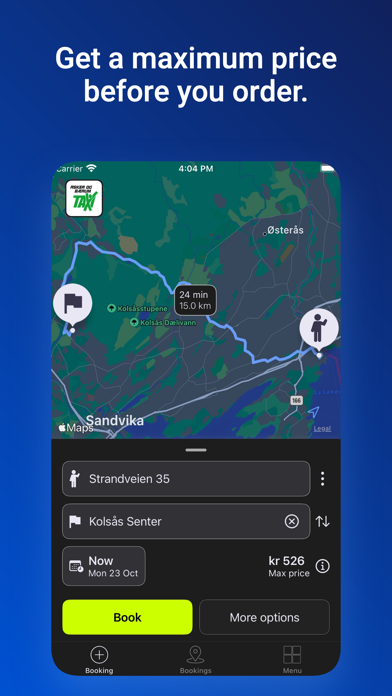 taxilink - Norway screenshot 4