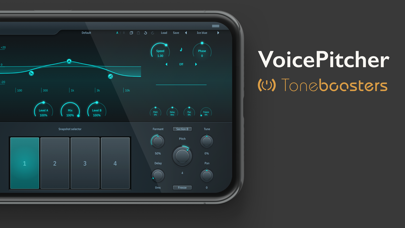 TB VoicePitcher screenshot 2