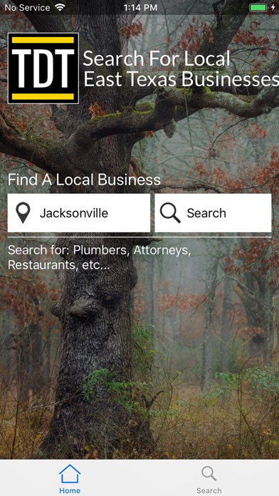 TDT Local Search screenshot 4