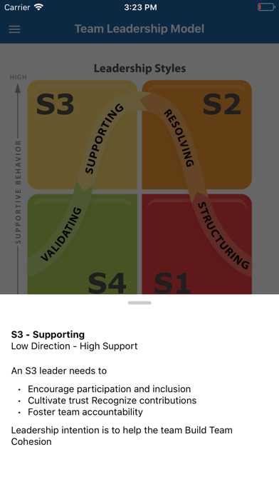 Team Leadership screenshot 1