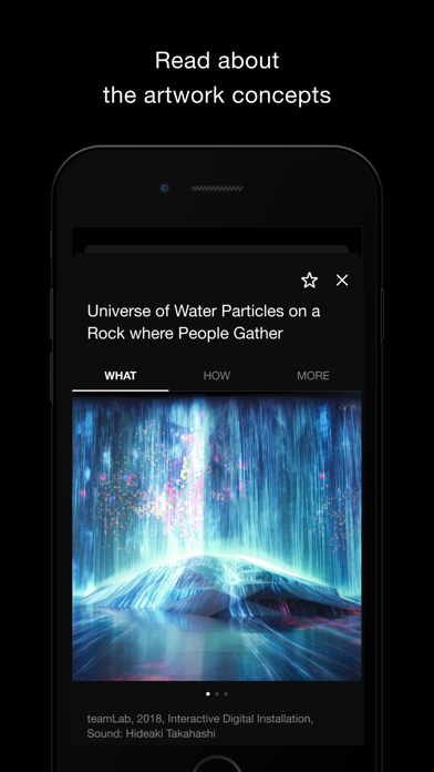 teamLab screenshot 3