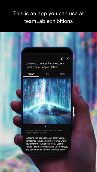 teamLab screenshot 5