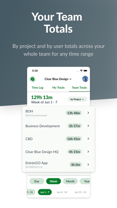 TeamTime for Basecamp screenshot 2