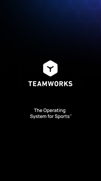 Teamworks screenshot 1