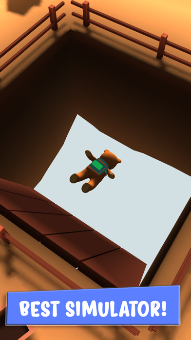 Teddy - skydiving simulator screenshot 4