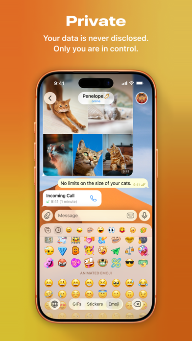 Telegram Messenger screenshot 5