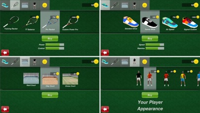 Tennis Champion screenshot 1