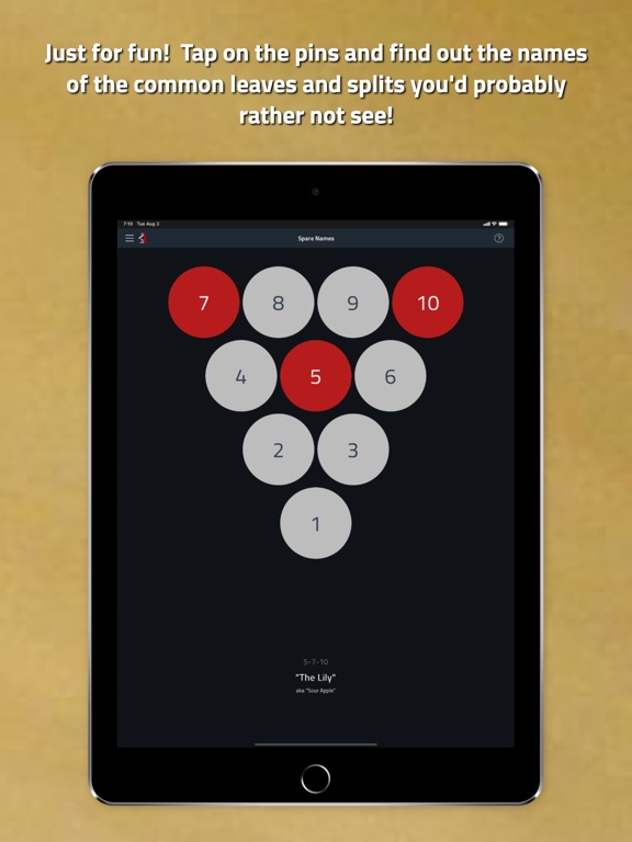 Tenpin Toolkit: Bowling Tools screenshot 1