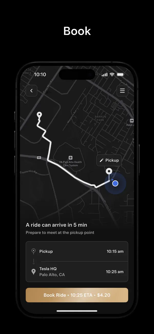 Tesla Robotaxi screenshot 4