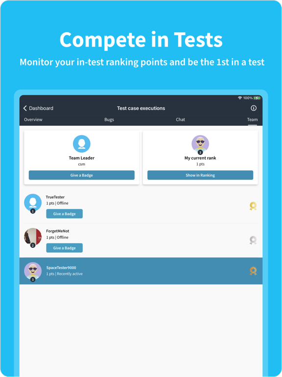 testNow - Crowdtesting screenshot 4