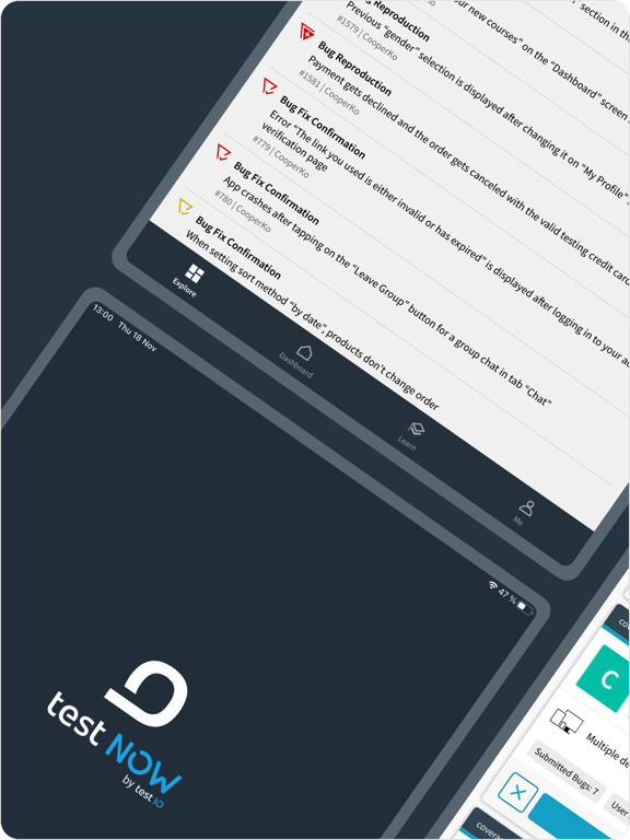 testNow - Crowdtesting screenshot 10