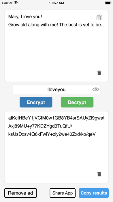 Text Encryption Tool screenshot 4