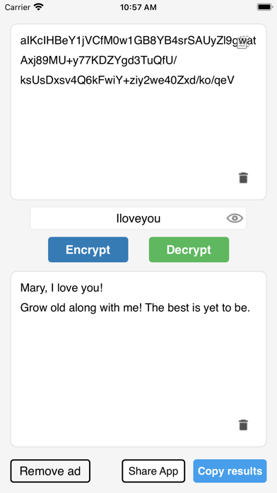 Text Encryption Tool screenshot 3