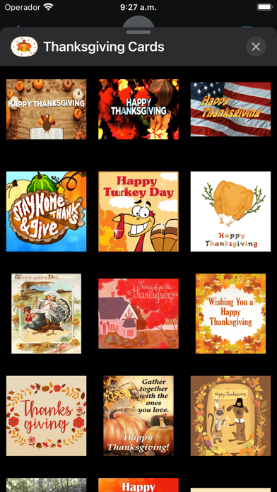 Thanksgiving - Animated Cards screenshot 3