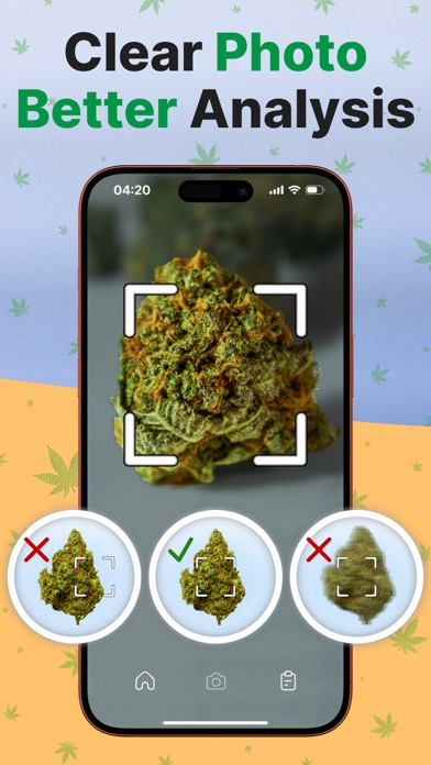THC Weed Identifier: Kush Scan screenshot 2