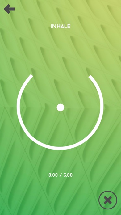 The Accomplished Brain App screenshot 2