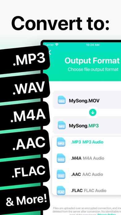 The Audio Converter screenshot 5