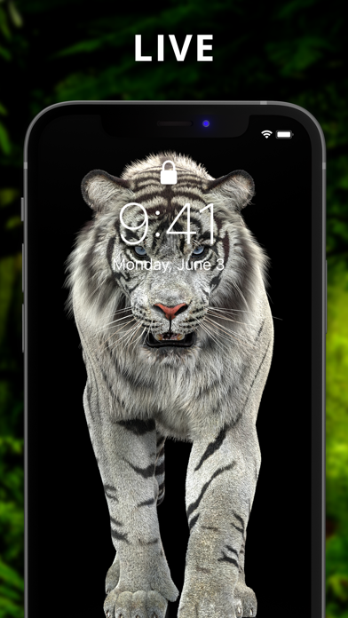The Best 3D Live Wallpaper screenshot 6