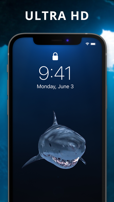 The Best 3D Live Wallpaper screenshot 4