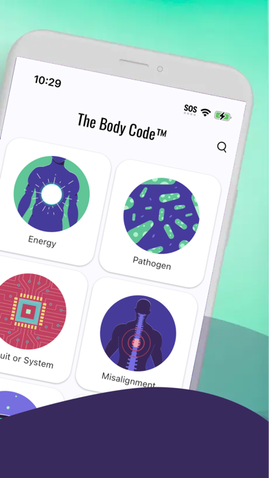The Body Code System screenshot 3