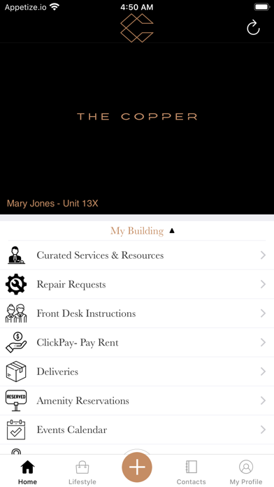 The Copper screenshot 2