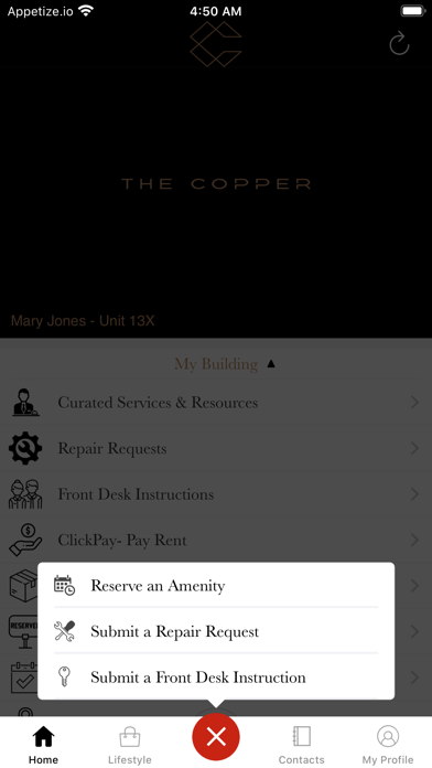 The Copper screenshot 1