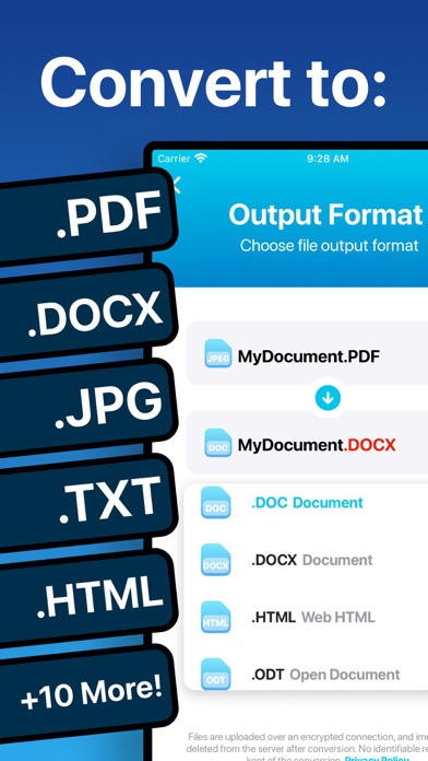 The Document Converter screenshot 5