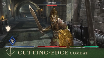 The Elder Scrolls: Blades screenshot 1