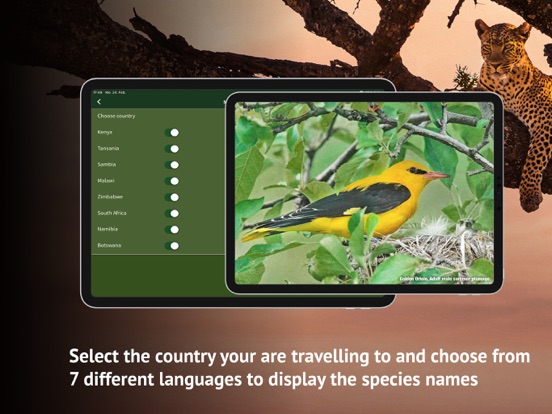The Golden Safari Guide screenshot 7