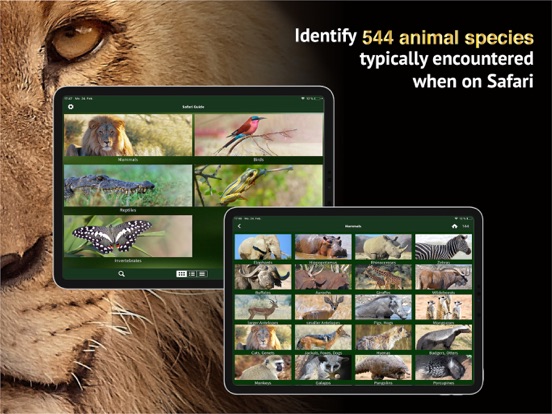The Golden Safari Guide screenshot 9