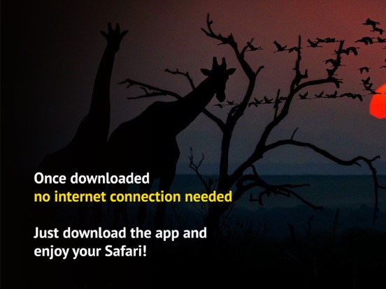 The Golden Safari Guide screenshot 4