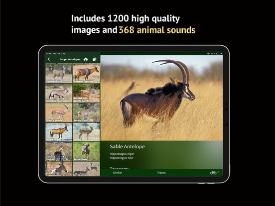 The Golden Safari Guide screenshot 8