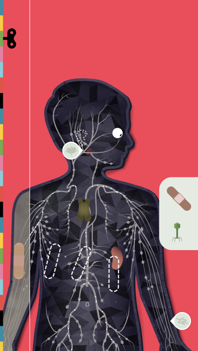 The Human Body by Tinybop screenshot 1