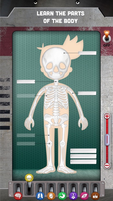 The Human Body: Learn Anatomy screenshot 3