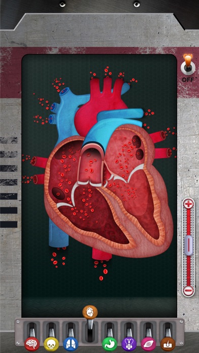 The Human Body: Learn Anatomy screenshot 1
