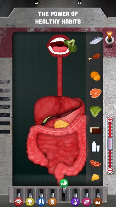 The Human Body: Learn Anatomy screenshot 4