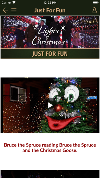 The Lights of Christmas screenshot 1