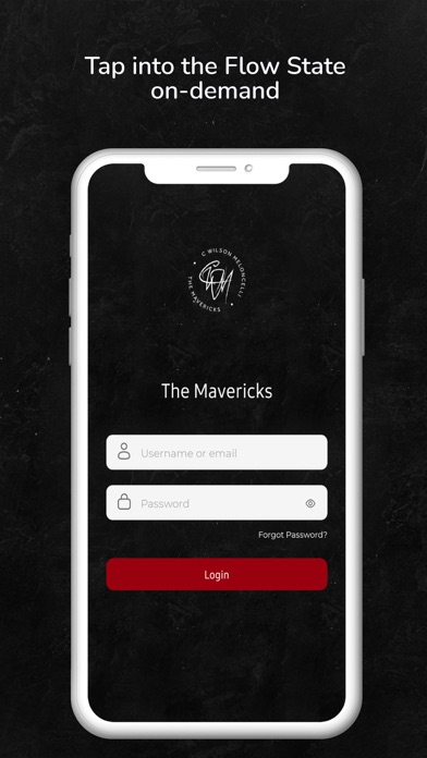 The Mavericks screenshot 4